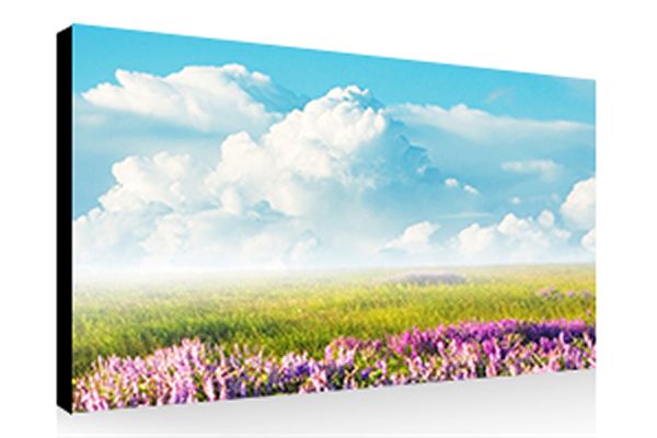 市場上的無縫拼接屏報(bào)價(jià)為什么有較大的差異